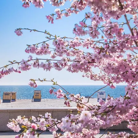 Pink Und - Meerblick, Sauna, Kamin & Whirlpool *